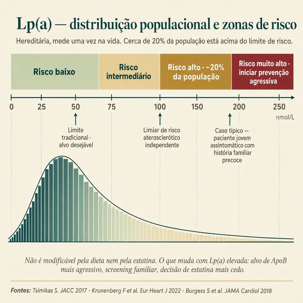 Distribuição populacional da Lp(a) em quatro zonas de risco. A maioria das pessoas se concentra abaixo de 75 nmol/L (risco baixo), mas a longa cauda à direita carrega ~20% da população em risco alto (>125 nmol/L) ou muito alto (>200). Lp(a) é hereditária, mede uma vez na vida e não responde à dieta nem à estatina: o que muda é o alvo de ApoB, o screening familiar e o momento de iniciar prevenção.